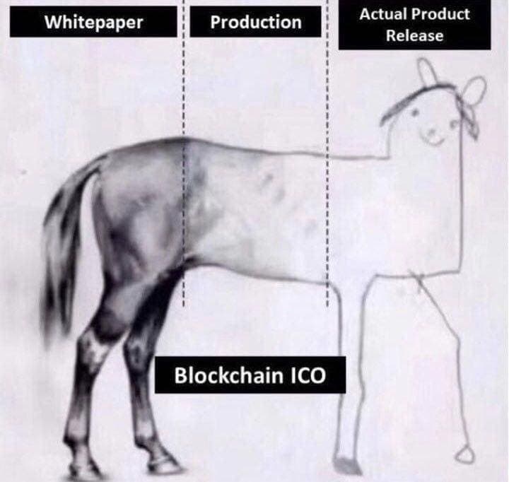 An image depicts a drawing of a horse divided into three segments labeled "Whitepaper," "Production," and "Actual Product Release." The drawing starts detailed and realistic on the left and becomes simplistic and crude on the right, with "Blockchain ICO" below. DYOR!