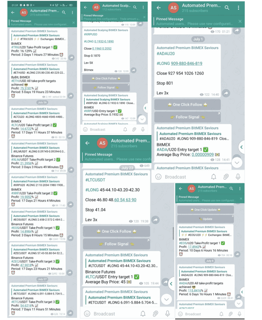 A collage of chat screenshots from a messaging app showcases trading signals, instructions, and market updates. The detailed messages, framed with text in teal on white backgrounds, come alive with emojis and numerical data. Experience insights from the Bitmex Saviour community.