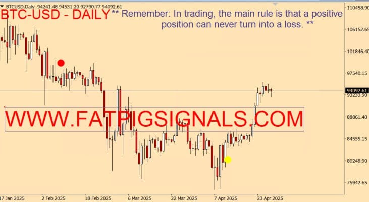 O gráfico de negociação de criptomoedas "BTC-USD - DAILY", com seus candlesticks e linha de média móvel azul, apresenta indicadores vermelhos e amarelos. Exibindo um valor de 94092,61, ele inclui a nota "Telegram Signals Fat Pig Signals review", mostrando insights de A Fat Pig Signals. 