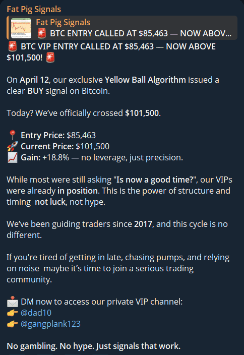 Uma captura de tela de uma publicação da Fat Pig Signals no Telegram, apresentando sinais de compra para o Bitcoin acima de $85.463, destacando um alvo de $101.500, estatísticas de performance de trading e informações de contato.