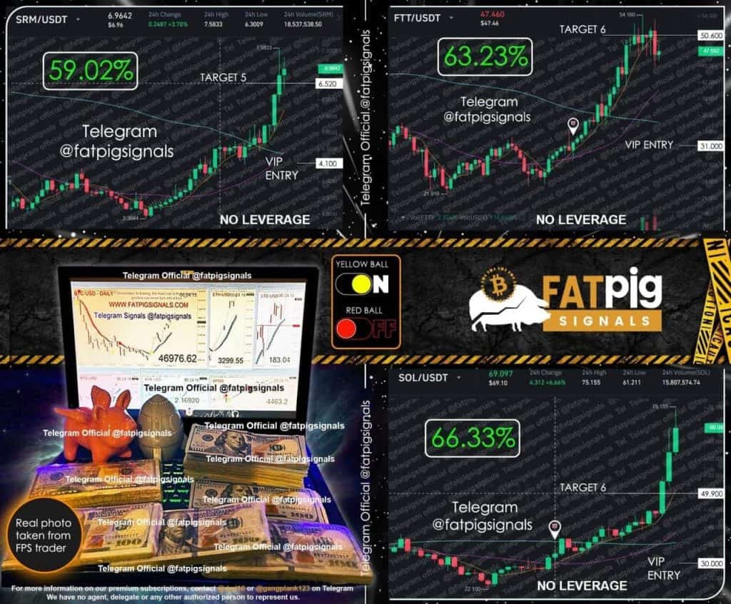 Gráficos da Fat Pig Signals