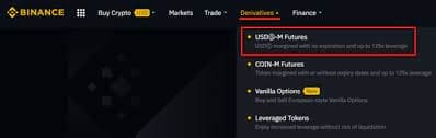 A screenshot of the Binance website's dropdown menu. The highlighted option is "USDⓈ-M Futures," described as "Safely profit against with use single pool and up to 125x leverage." Learn how to trade on Binance futures with other options like "COIN-M Futures," "Vanilla Options," and "Leveraged Tokens.