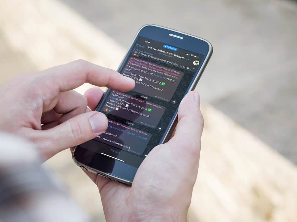 Crypto signals on Telegram. Fat Pig Signals